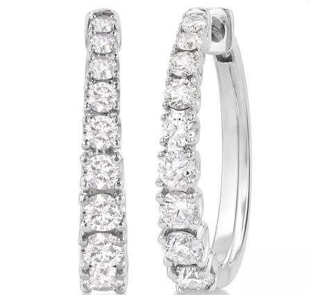 Updated product image (cleaned)