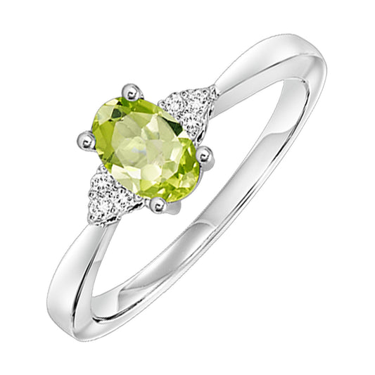 Product Image - main_GO-FR4026-1WDD_1