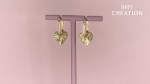 Product video for SHY-SC55014489 (1)